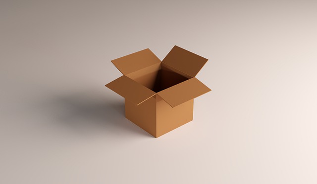 prázdná kartonová krabice